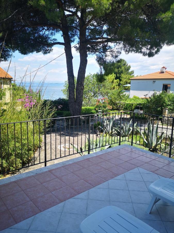 Apartment & Rooms Lilis Izola Dış mekan fotoğraf